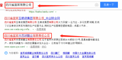 四川省宜賓市思坡醋業有限責任公司與我司做網站設計項目