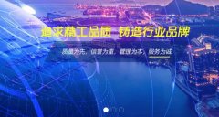 泰興市必*電子有限公司網頁制作平面設計案例作品