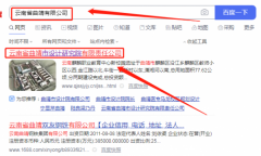 云南省曲靖市*計研究院有限責任公司網站建設參考網站