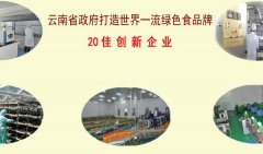 云南大理洱*實業有限公司網站建設營銷型案例作品