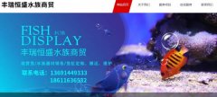 北京豐*恒盛水族商貿有限公司設計網站展示型案例作品